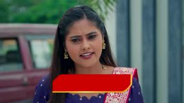 Illu Illalu Pillalu (Star Maa) S01 E307 Narmada Takes Charge