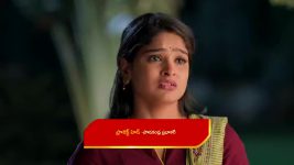 Illu Illalu Pillalu (Star Maa) S01 E320 Narmada Makes Prema Happy