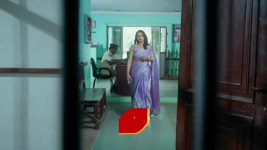 Intinti Ramayanam (Star Maa) S01 E460 A Shocker for Pallavi