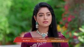Jagadhatri (zee telugu) S01 E667 17th November 2025