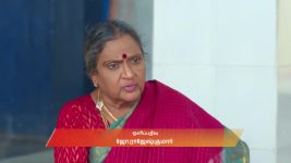 Karthigai Deepam S01 E1028 10th November 2025