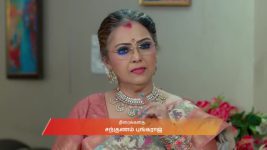 Karthigai Deepam S01 E1029 11th November 2025