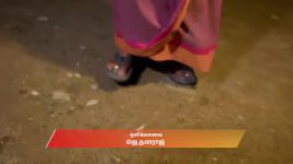 Karthigai Deepam S01 E1038 17th November 2025