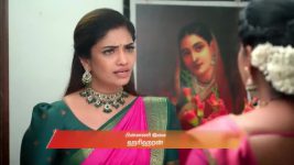 Karthigai Deepam S01 E1040 19th November 2025