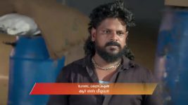 Karthigai Deepam S01 E1041 20th November 2025