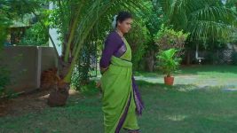 Maguva O Maguva S01 E533 Sindhura Sparks Hope in Chanti