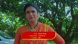 Maguva O Maguva S01 E537 Chenchalamma Returns Home