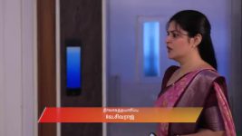 Manasellam (Zee Tamil) S01 E246 7th November 2025