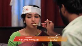 Manasellam (Zee Tamil) S01 E250 12th November 2025