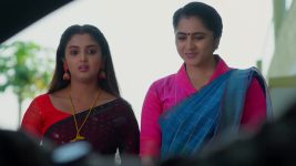 Meghasandesam (Zee Telugu) S01 E478 19th November 2025