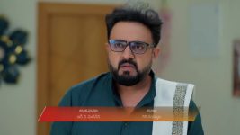 Meghasandesam (Zee Telugu) S01 E488 29th November 2025