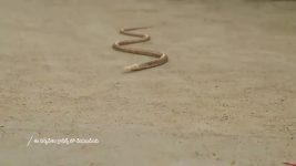 Mukkupudaka S01 E1052 20th November 2025