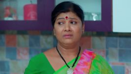 Nindu Noorella Saavasam S01 E729 12th November 2025