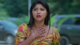 Ninnu Kori (Star Maa) S01 E444 Virat, Chandrakala Are Overwhelmed
