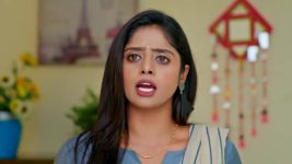 Paape Maa Jeevana Jyothi S01 E1403 Simhadri Defends Alekhya