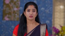 Padamati Sandhyaragam S01 E1002 5th November 2025