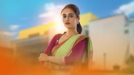 Professor Bidya Banerjee Professor Bidya Banerjee