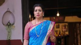 Puttakkana Makkalu S01 E1155 14th November 2025