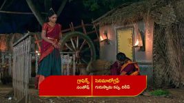 Renuka Yellamma (Star Maa) S01 E759 Renuka Requests Jamadagni