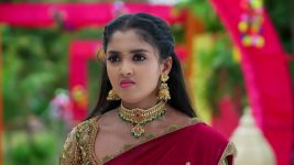 Salangai Oli (Zee Tamil) S01 E130 4th November 2025