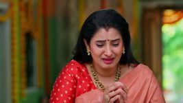 Salangai Oli (Zee Tamil) S01 E144 10th November 2025