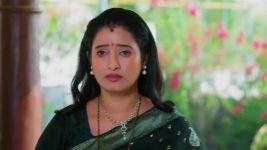 Salangai Oli (Zee Tamil) S01 E148 11th November 2025