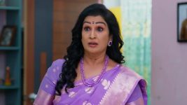 Salangai Oli (Zee Tamil) S01 E151 12th November 2025