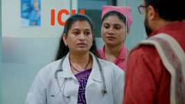Salangai Oli (Zee Tamil) S01 E153 13th November 2025