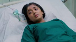 Salangai Oli (Zee Tamil) S01 E154 13th November 2025