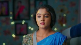 Salangai Oli (Zee Tamil) S01 E162 17th November 2025