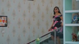 Salangai Oli (Zee Tamil) S01 E167 19th November 2025