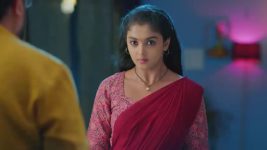 Salangai Oli (Zee Tamil) S01 E178 22nd November 2025