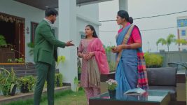 Salangai Oli (Zee Tamil) S01 E182 25th November 2025
