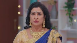 Salangai Oli (Zee Tamil) S01 E183 26th November 2025