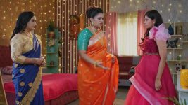 Salangai Oli (Zee Tamil) S01 E186 27th November 2025