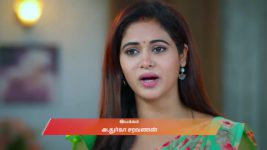 Sandhya Raagam (Tamil) S01 E696 1st November 2025