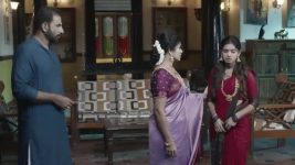 Sandhya Raagam (Tamil) S01 E704 11th November 2025