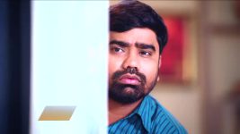 Savlyachi Janu Savali S01 E390 12th November 2025