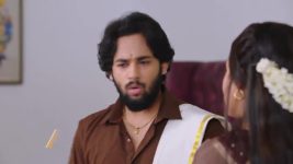 Shravani Subramanya S01 E439 3rd November 2025