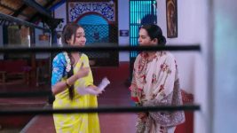 Shravani Subramanya S01 E448 11th November 2025