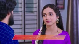 Shravani Subramanya S01 E449 12th November 2025