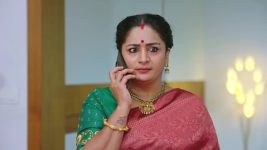 Shravani Subramanya S01 E466 29th November 2025