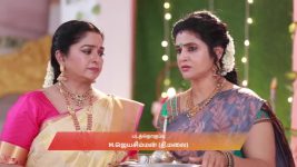 Varisu (Zee Tamil) S01 E105 4th November 2025