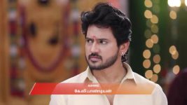 Varisu (Zee Tamil) S01 E116 17th November 2025