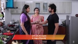 Varisu (Zee Tamil) S01 E127 29th November 2025
