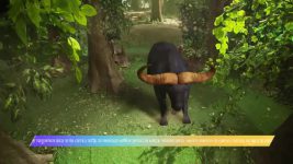Bedeni Jyotsnar Amar Prem S01 E71 14th November 2025