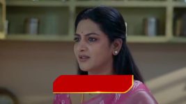 Intinti Ramayanam (Star Maa) S01 E440 Avani, Meenakshi's Reunion