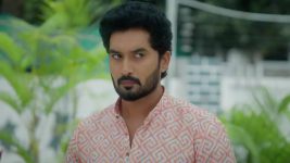 Karthika Deepam S02 E521 Deepa's Destiny Ritual