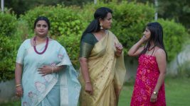 Ninnu Kori (Star Maa) S01 E446 Will Kamakshi, Shyamala Succeed?