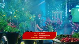 Paluke Bangaramayana S01 E706 Shiva's Joyful Celebrations